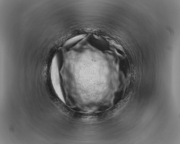 X0000112890319200909111509