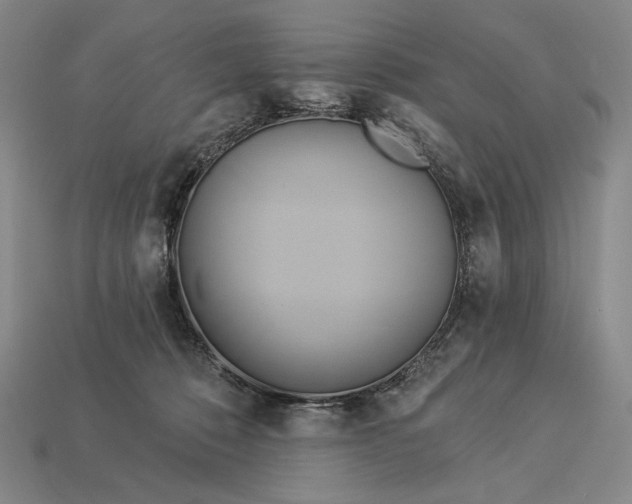 X0000112890320200909111509