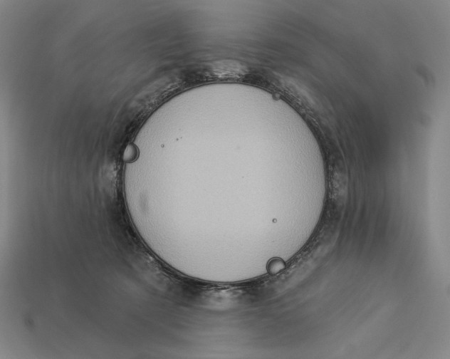 X0000112890321200909111509