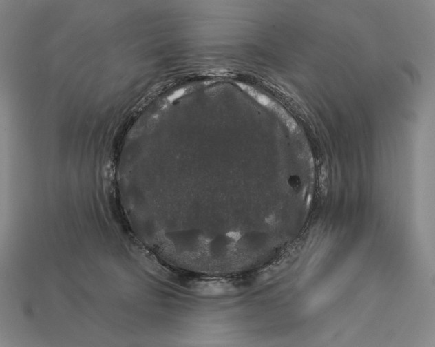 X0000112890322200909111509