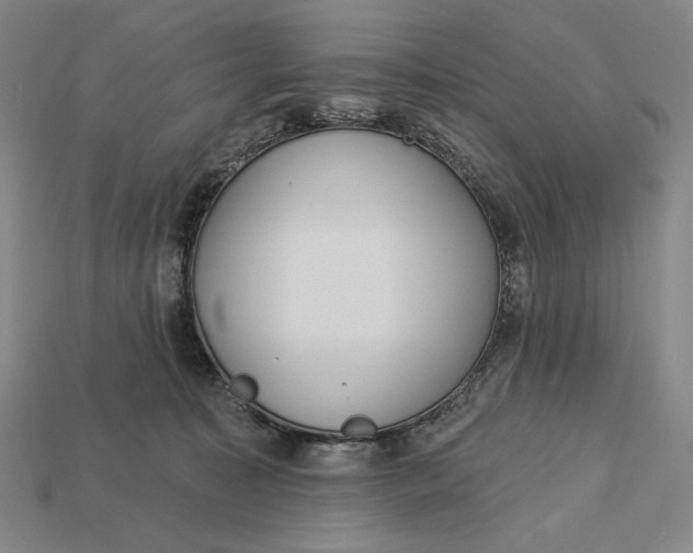 X0000112890323200909111509