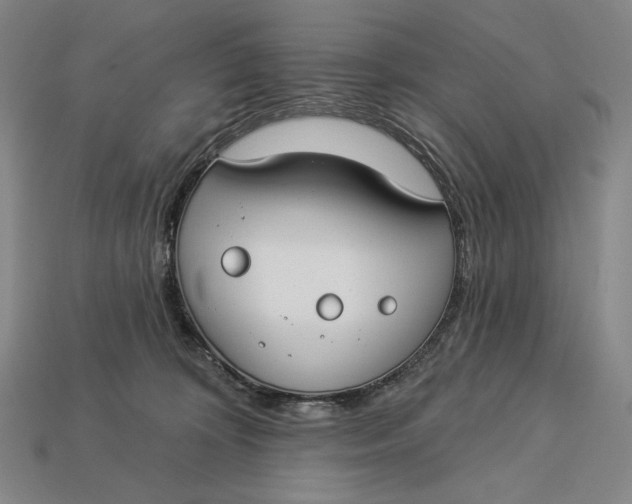 X0000112890324200909111509