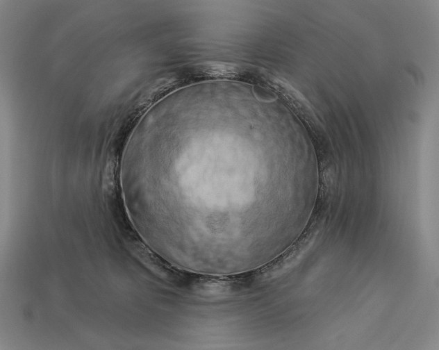 X0000112890325200909111509