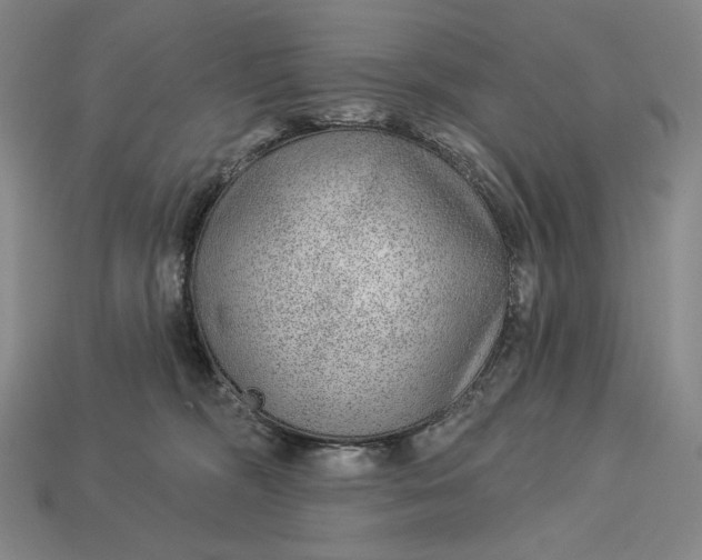 X0000112890326200909111509