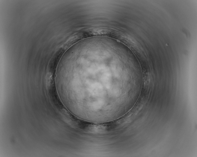 X0000112890327200909111509