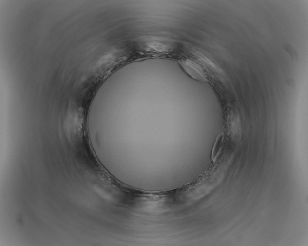 X0000112890328200909111509