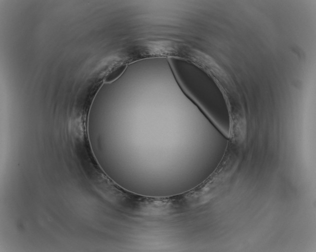 X0000112890329200909111509