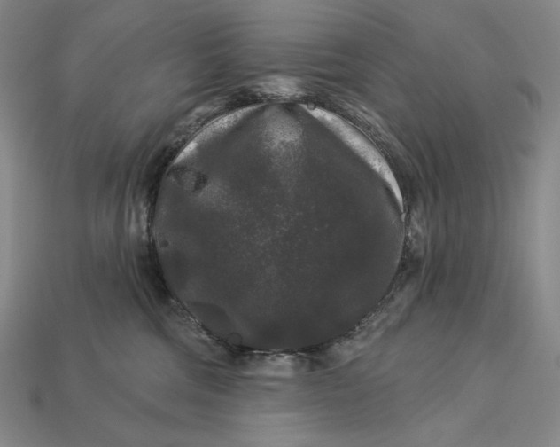 X0000112890330200909111509