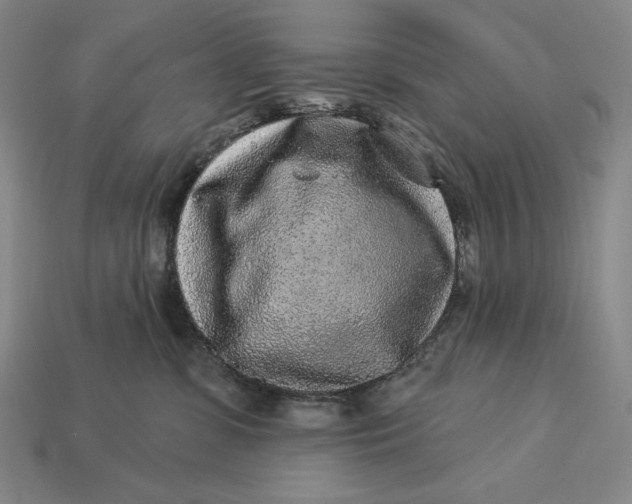 X0000112890331200909111509