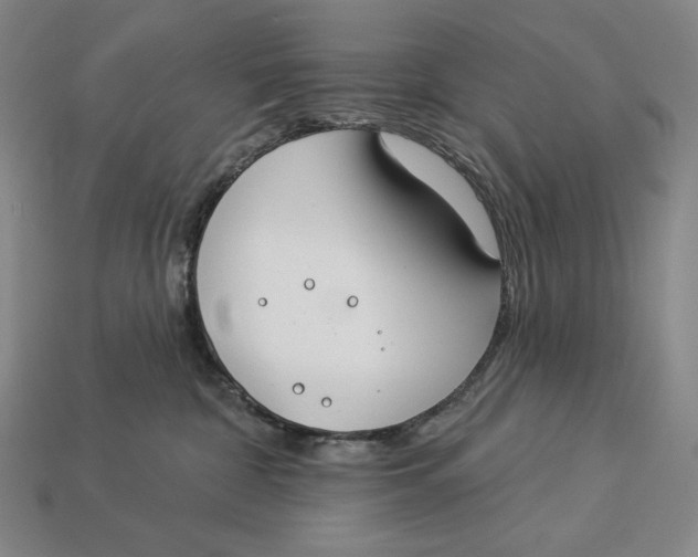 X0000112890332200909111509