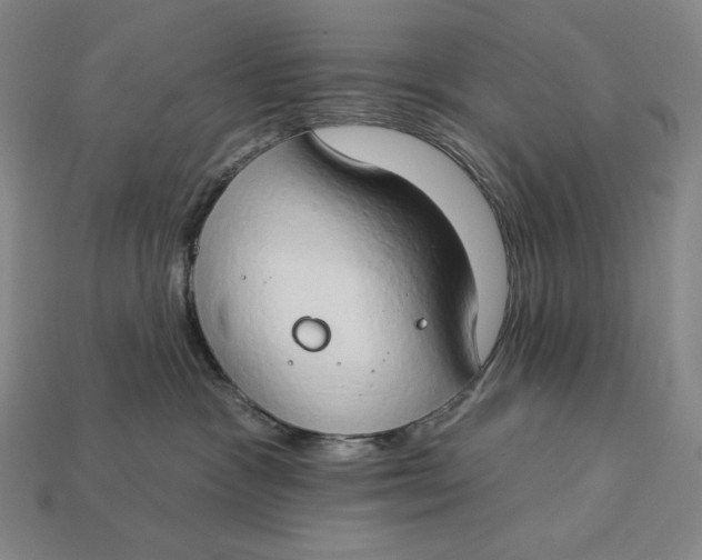 X0000112890333200909111509