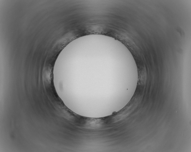 X0000112890334200909111509