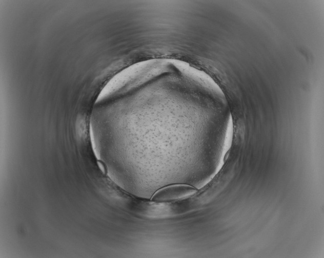 X0000112890335200909111509