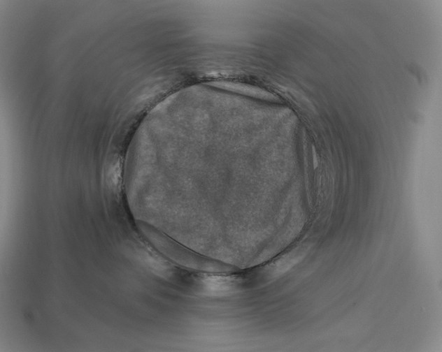 X0000112890336200909111509