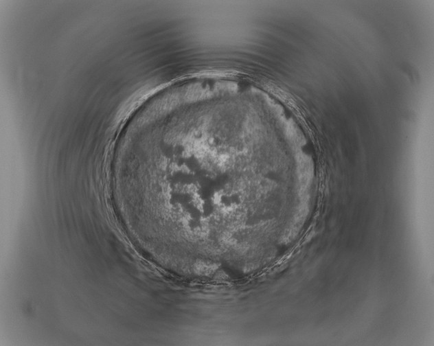 X0000112890337200909111508