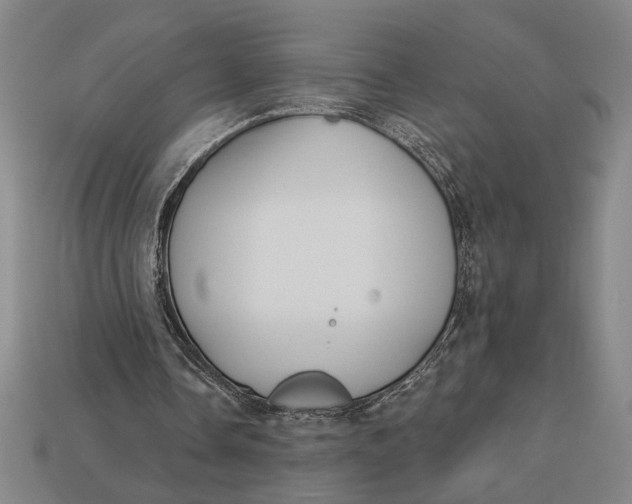 X0000112890338200909111508