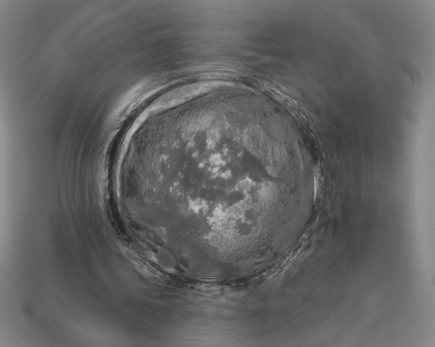 X0000112890339200909111508