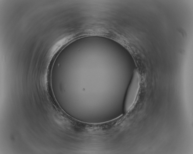 X0000112890340200909111508