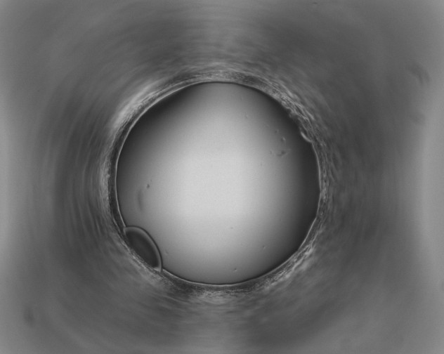 X0000112890341200909111508