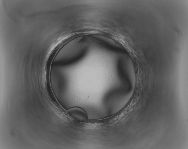 X0000112890342200909111508