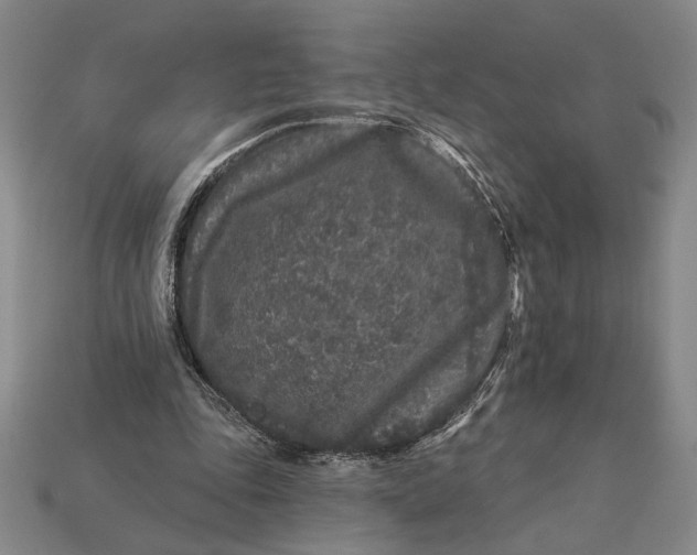 X0000112890343200909111508