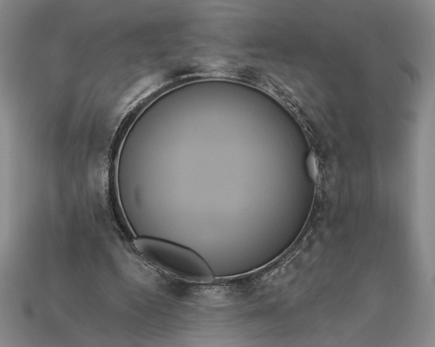 X0000112890344200909111508