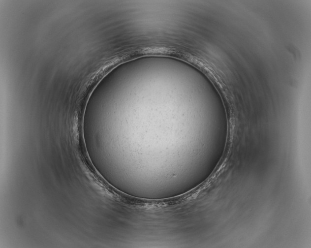 X0000112890345200909111508