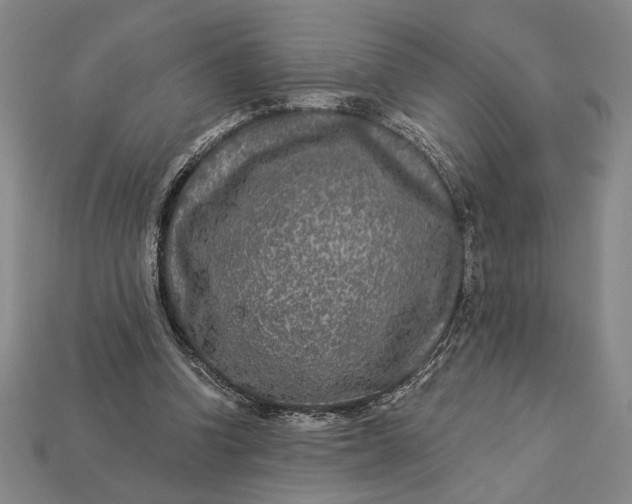 X0000112890346200909111508