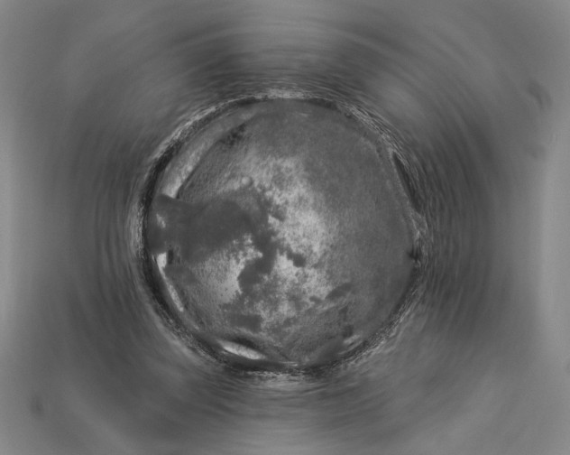 X0000112890347200909111508