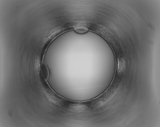X0000112890348200909111508