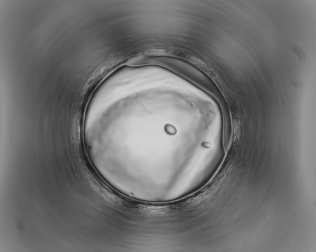 X0000112890349200909111508