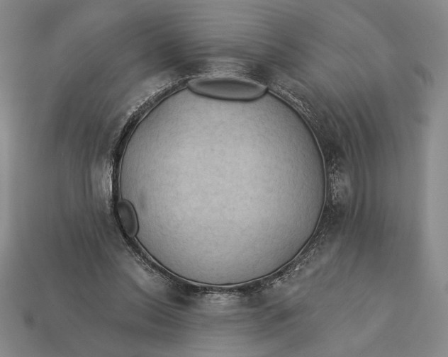 X0000112890350200909111508