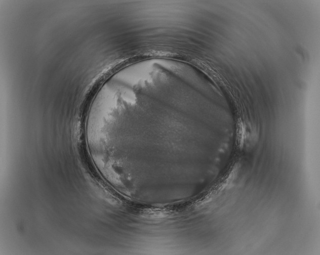 X0000112890351200909111508