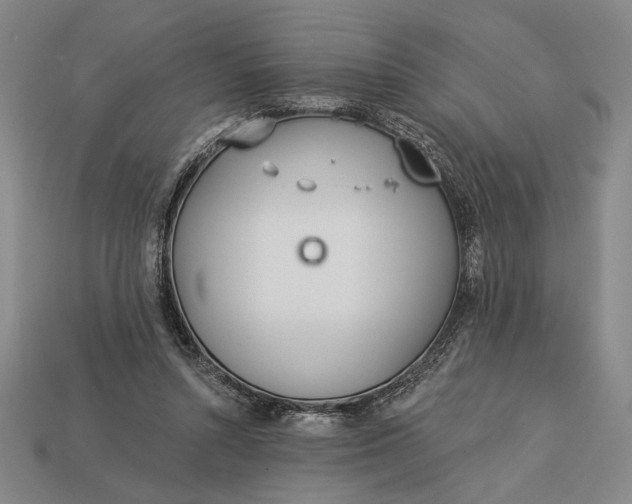 X0000112890352200909111508