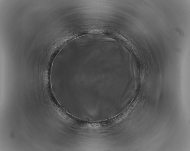 X0000112890353200909111508