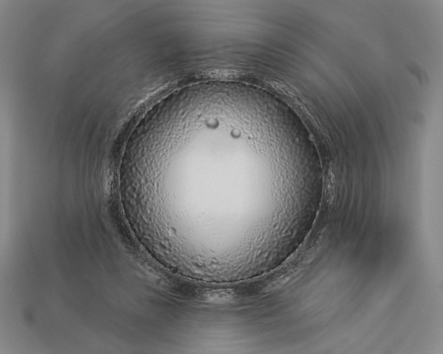 X0000112890355200909111508