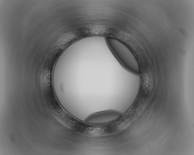 X0000112890356200909111508