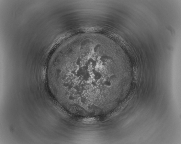 X0000112890357200909111508