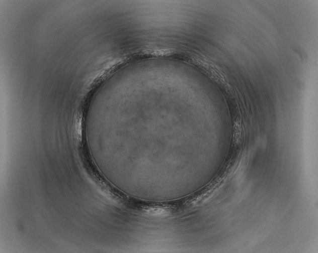 X0000112890358200909111508