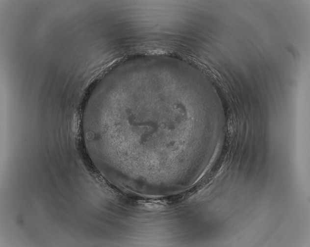 X0000112890359200909111508