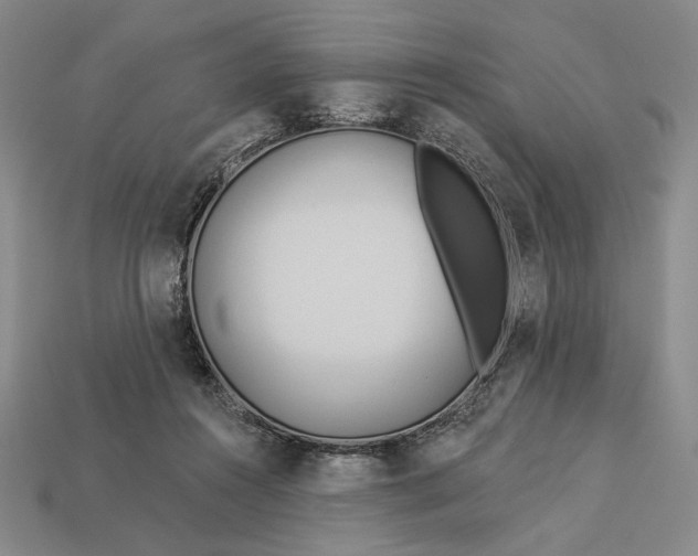 X0000112890360200909111508