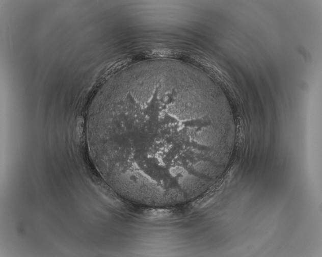 X0000112890361200909111508
