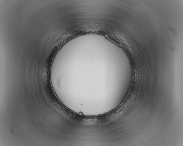 X0000112890362200909111508