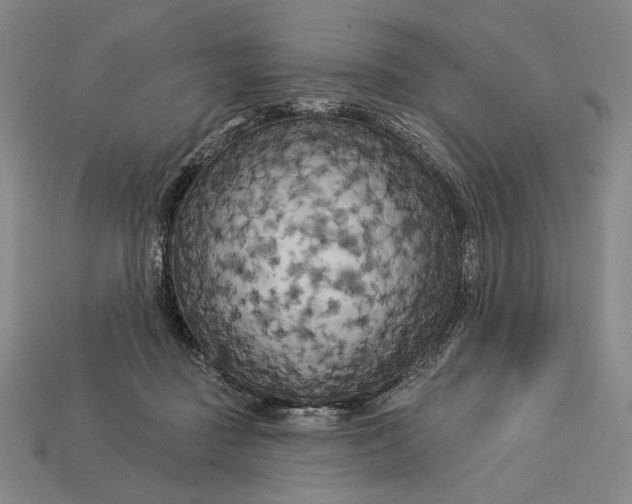 X0000112890363200909111508