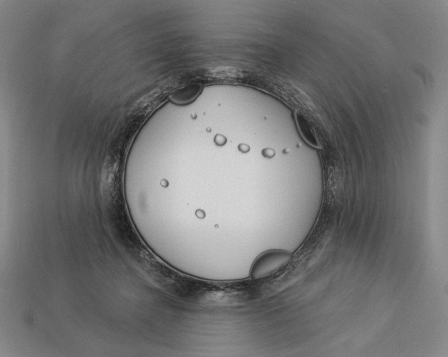 X0000112890364200909111508