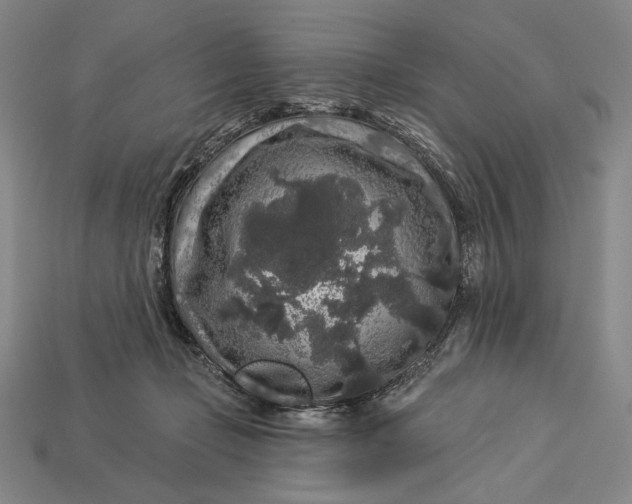 X0000112890365200909111508