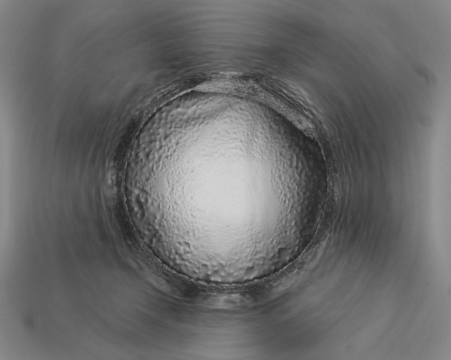 X0000112890366200909111508