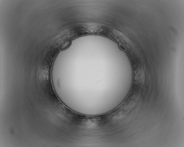 X0000112890368200909111508