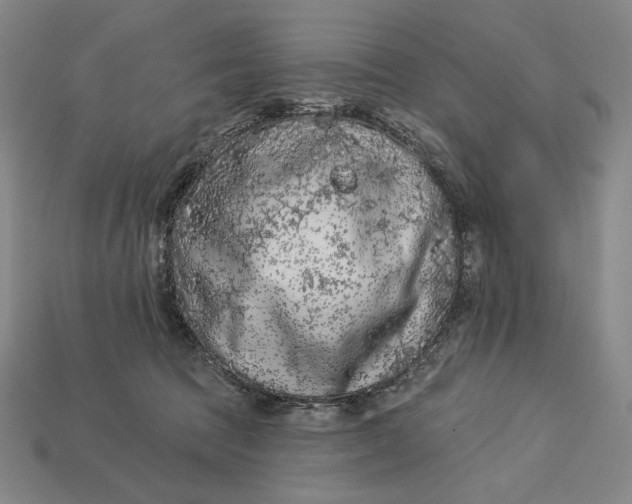 X0000112890369200909111508