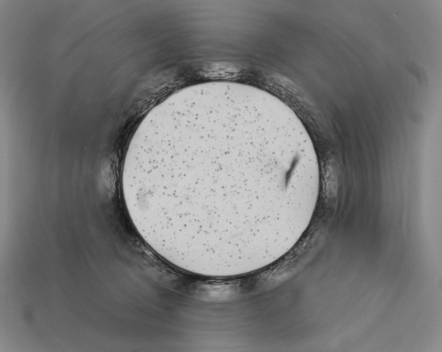 X0000112890370200909111508